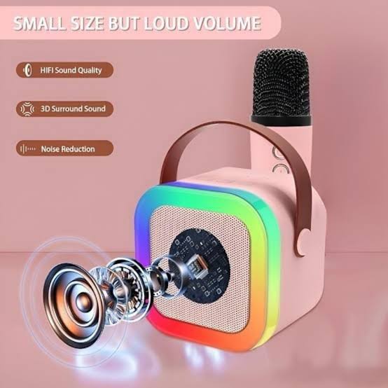 Briliant™ Karaoke sound system K12 with 2 mic color full light effect